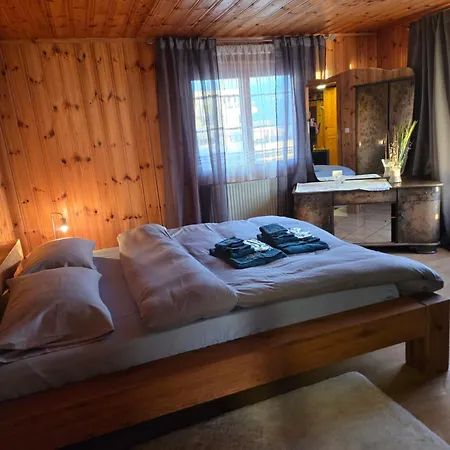 Апартаменты Duplex Salgesch